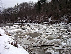 Canasawacta Creek behind Kurt Beyer Pool